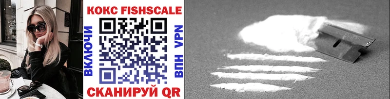 сайты даркнета как зайти  Ильский  COCAIN Fish Scale 