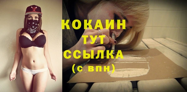 гашик Надым