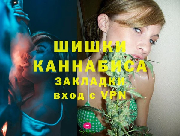 гашик Надым