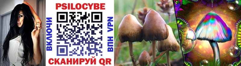 Галлюциногенные грибы Psilocybine cubensis  Ильский 